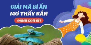 Cầu số may mắn ẩn sau giấc mơ thấy rắn