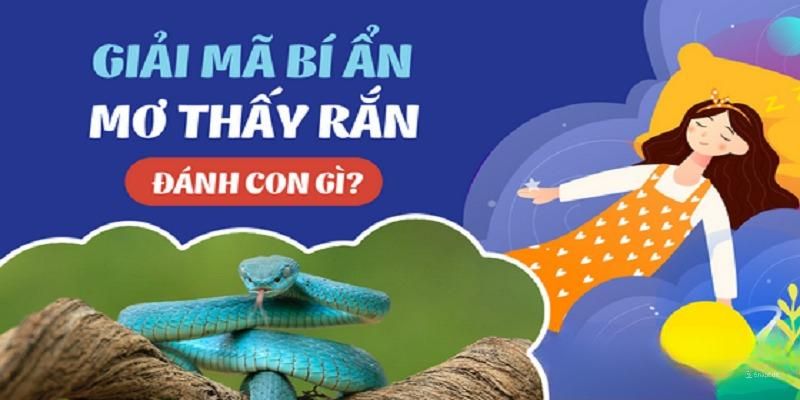 Cầu số may mắn ẩn sau giấc mơ thấy rắn