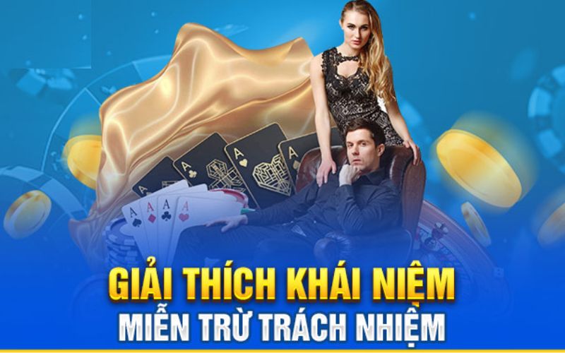 Một vài thông tin giới thiệu chính sách miễn trách nhiệm