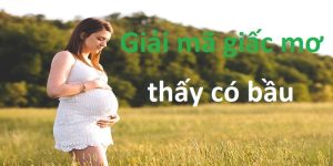 Giải mã thông điệp khi nằm mơ thấy có bầu